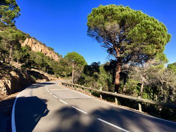 Road by trees against blue sky