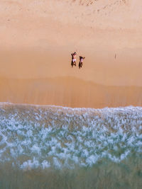 People on sand dune in desert