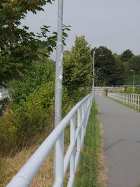 Walkway by trees against sky