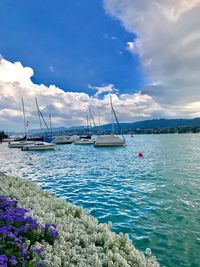 Sailboats moored on sea against sky