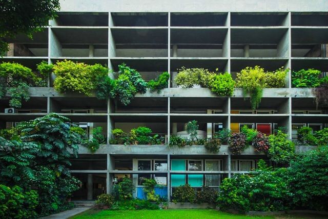 building exterior, built structure, architecture, plant, tree, growth, window, potted plant, green color, balcony, house, glass - material, residential structure, residential building, city, front or back yard, day, reflection, nature, outdoors