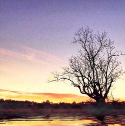 Silhouette bare tree on landscape against sky during sunset