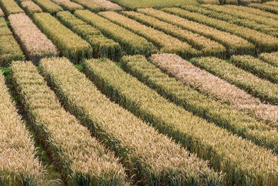 View of fields