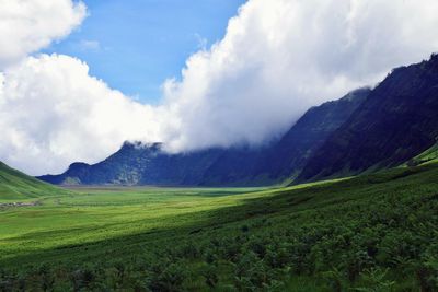 Scenic view of field against sky