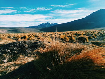 View of landscape against sky