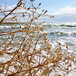 Scenic view of sea against sky during winter