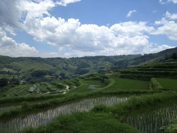 Scenic view of field against cloudy sky