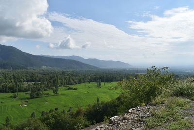 Scenic view of field against sky