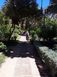 Rear view of people walking on footpath amidst trees