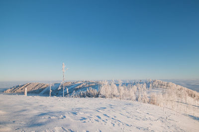 Breathtaking morning gentle light illuminates the mountains under blanket of snow and part of forest