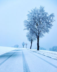Snow covered road by trees against sky