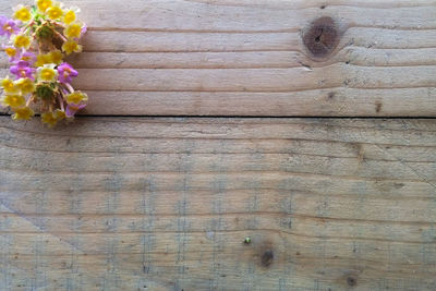 High angle view of flowering plant on wooden table