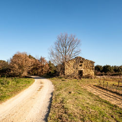 Path between fields and vineyards and rural house