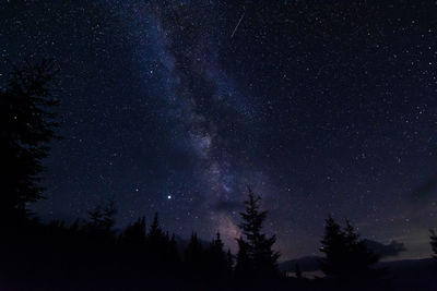 Perseid meteor shower and the milky way in the carpathian mountains