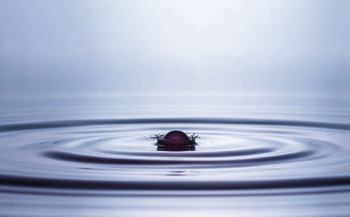 Close-up of drop splashing into water