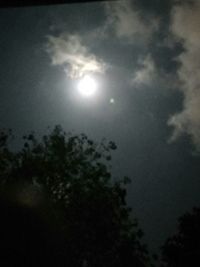 Low angle view of trees against moon in sky