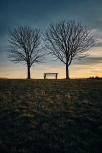 Bare tree on field against sky during sunset