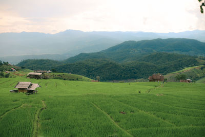 Scenic view of agricultural field against mountain