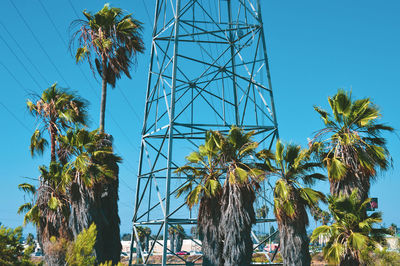 Low angle view of palm trees against blue sky