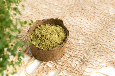 High angle view of bread on plant