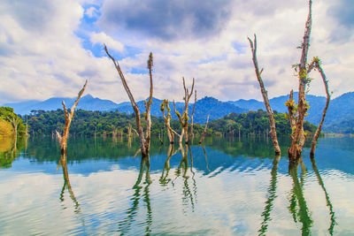 Scenic view of lake by trees against sky