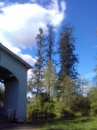 Trees against sky