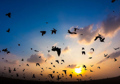 Low angle view of birds flying in sky