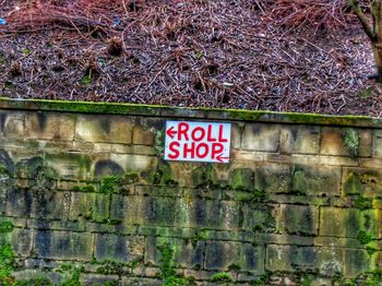 Text on ivy on brick wall