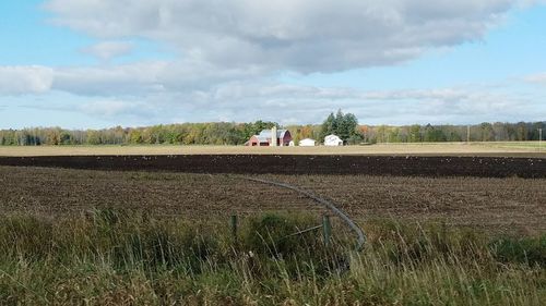 Scenic view of agricultural field against sky