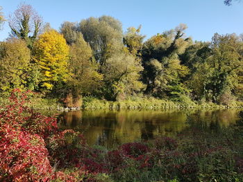 Trees by lake against sky during autumn