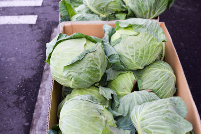 High angle view of cabbages in box