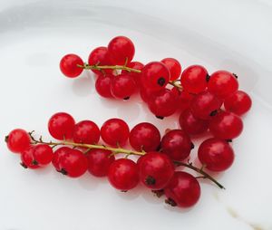 Close-up of red currants served in plate