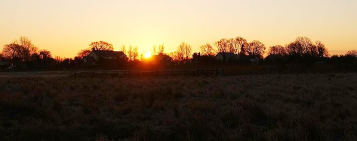 Silhouette trees on field against sky during sunset