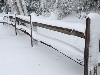Scenic view of snow covered tree