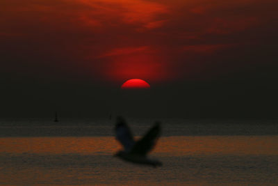 Scenic view of sea at sunset