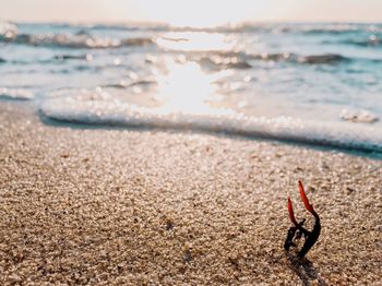 Close-up of sand on beach during sunny day