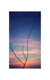 Silhouette bare tree against sky during sunset