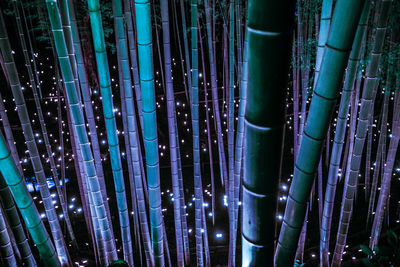 Full frame shot of bamboo plants in forest