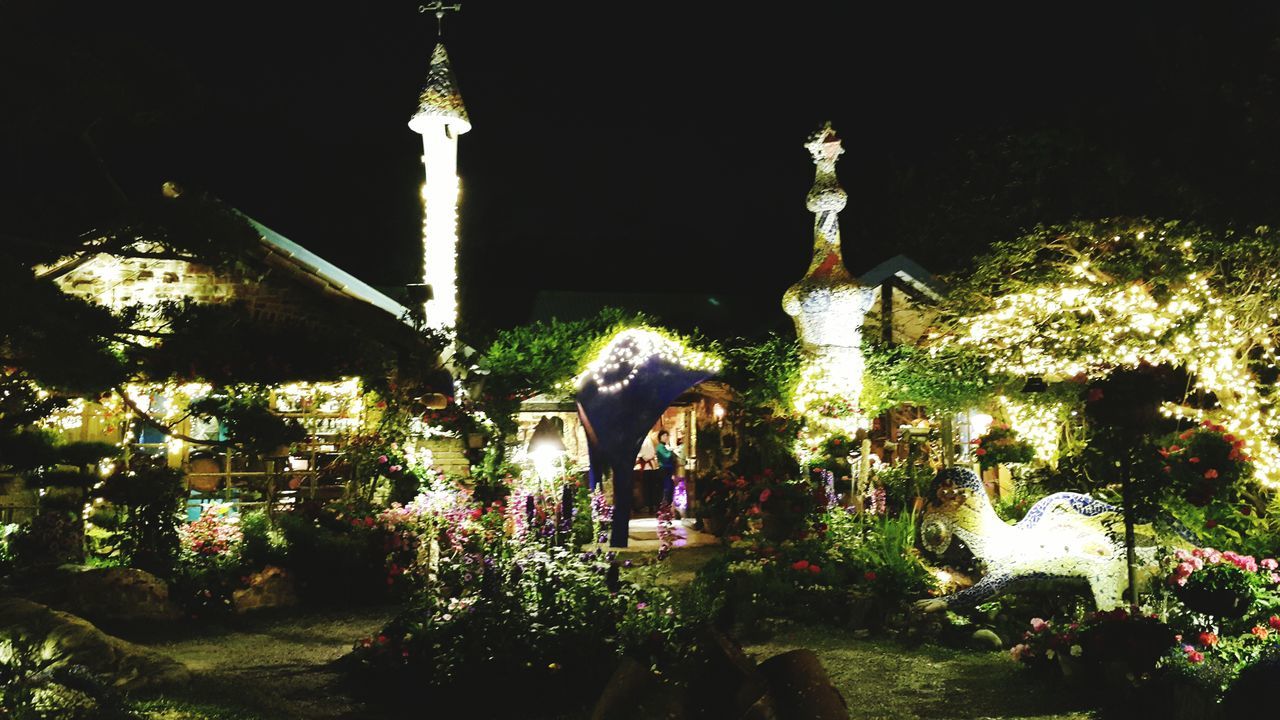 religion, architecture, built structure, place of worship, building exterior, spirituality, night, illuminated, tree, low angle view, church, clear sky, cross, growth, travel destinations, famous place, lighting equipment, no people