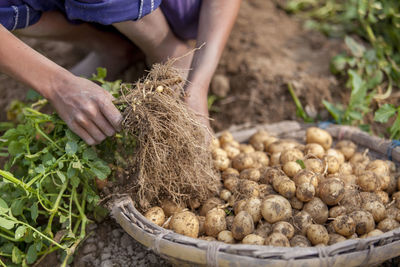 Midsection of person preparing food