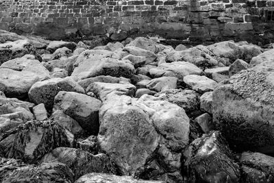 High angle view of rocks on beach