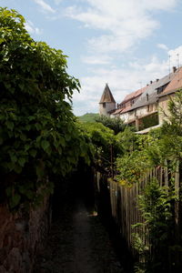 House amidst trees and buildings against sky