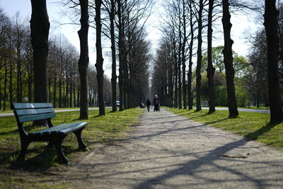 Rear view of benches on footpath in park