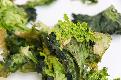 Close-up of vegetables