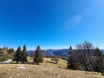 Scenic view of field against clear blue sky