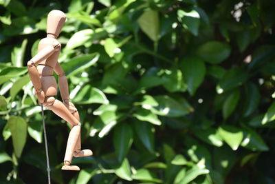 Close-up of toy on tree