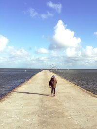 Rear view of man on beach against sky