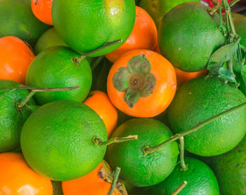 High angle view of oranges in market