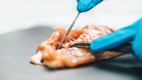 Food safety and quality testing of poultry meat. laboratory technician taking a sample of chicken