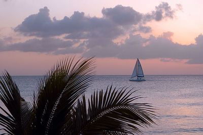 Sailboat sailing on sea against sky during sunset